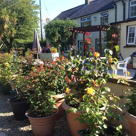 Old Mill House Bed & Breakfast Larne Exterior photo