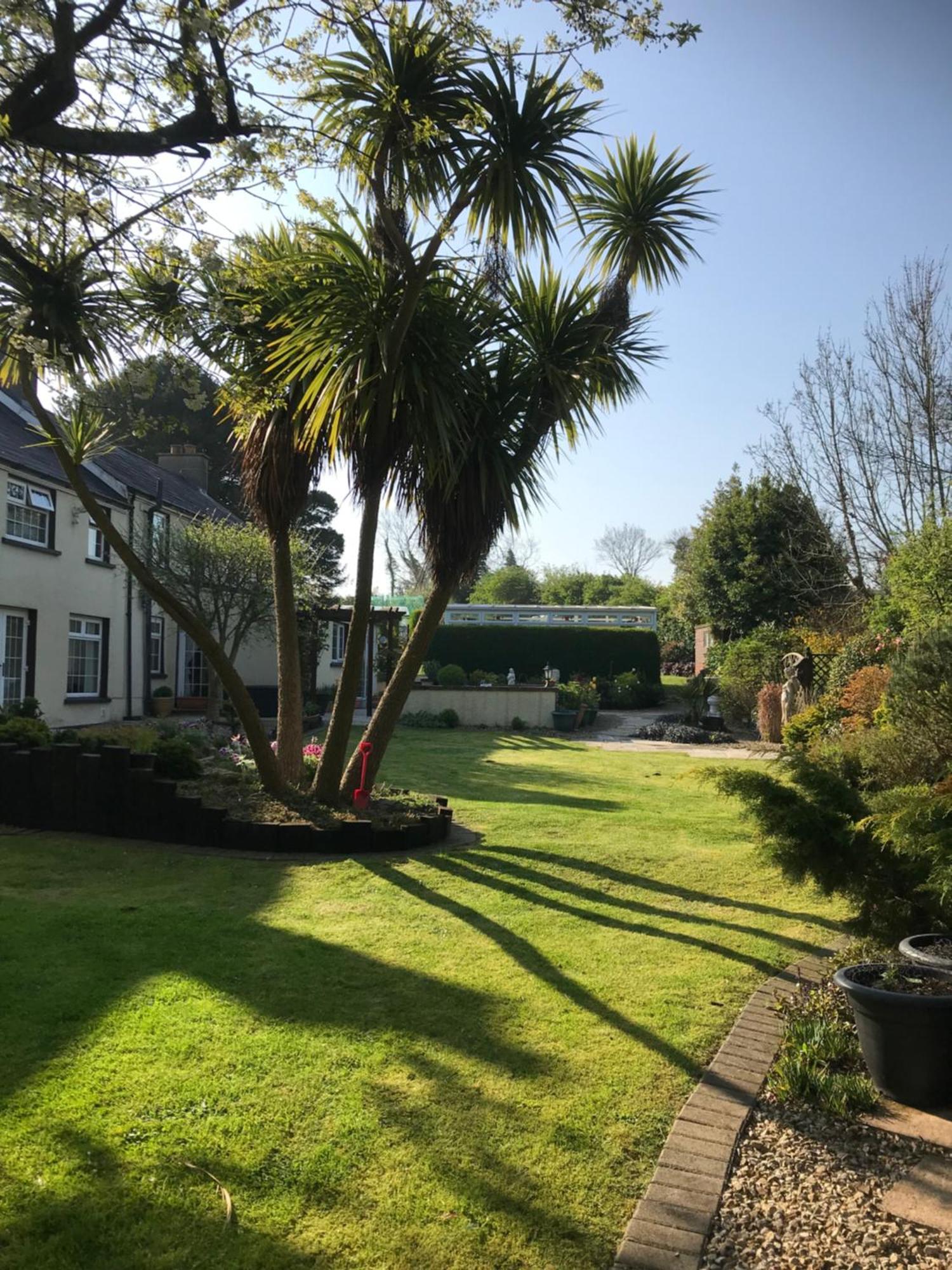 Old Mill House Bed & Breakfast Larne Exterior photo