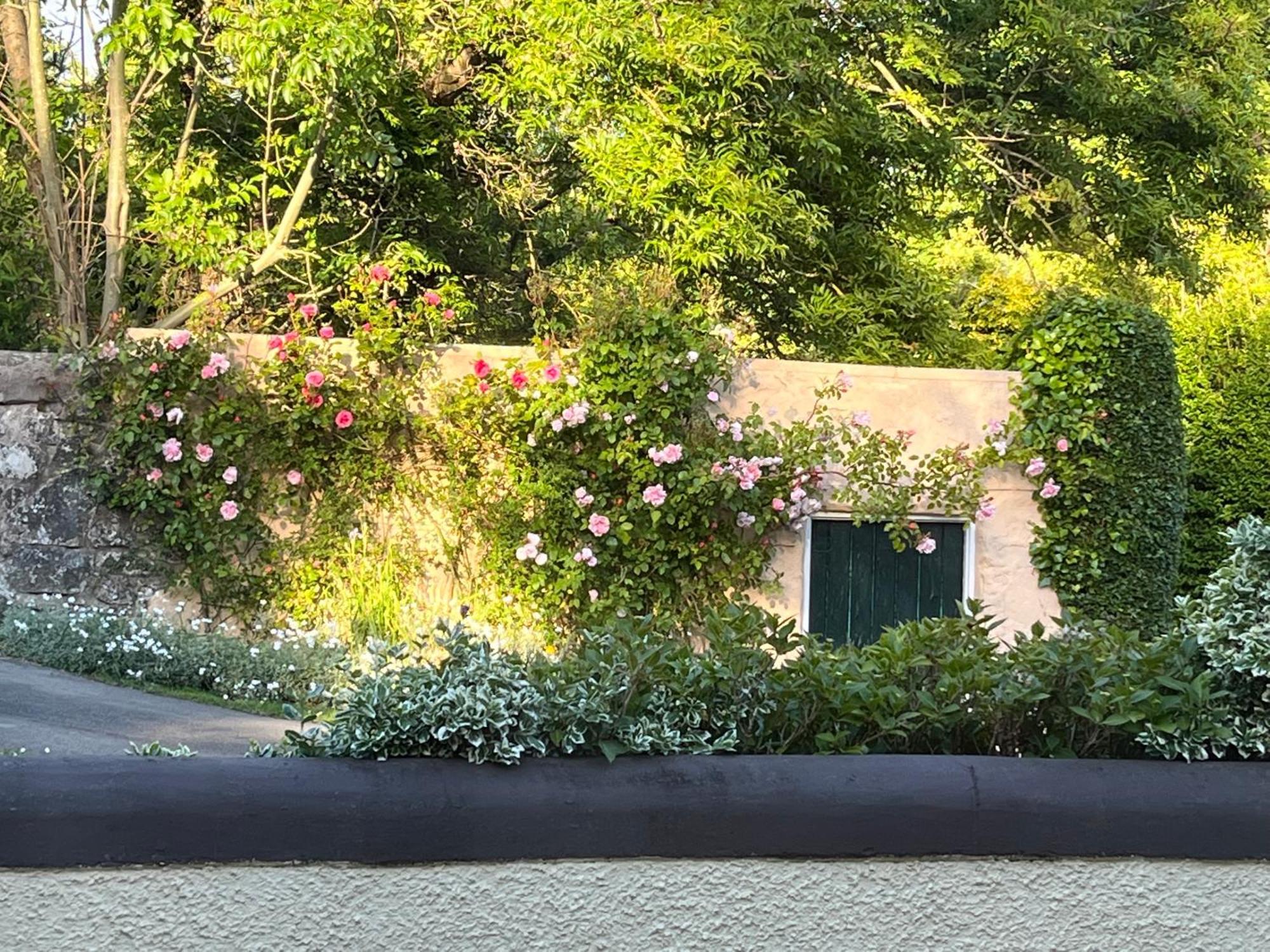 Old Mill House Bed & Breakfast Larne Exterior photo
