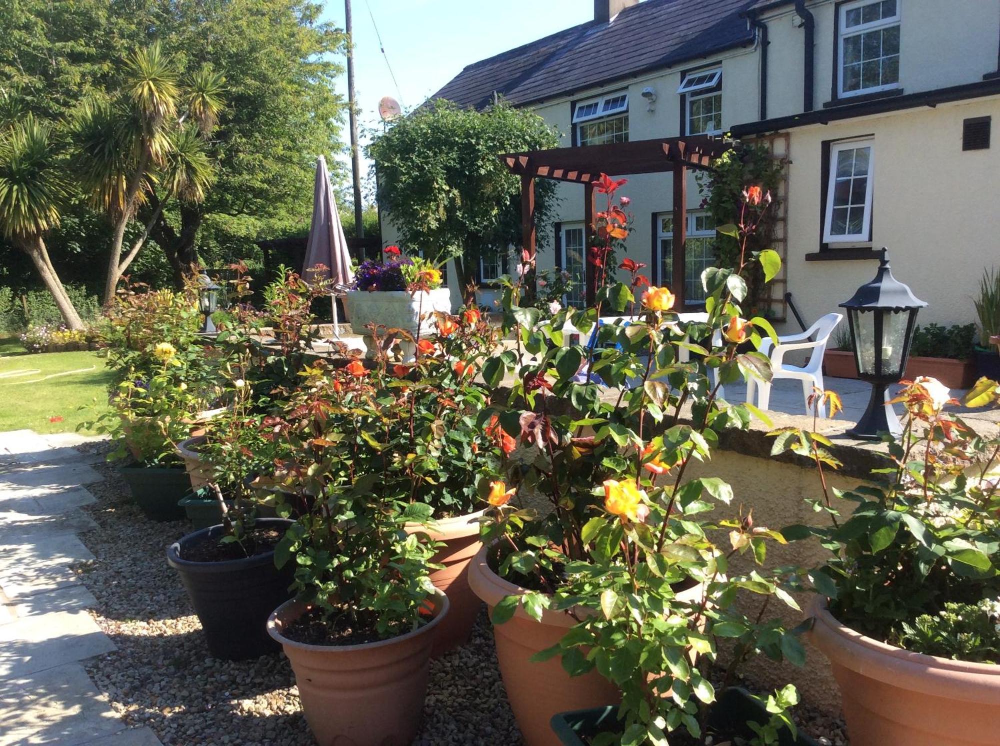 Old Mill House Bed & Breakfast Larne Exterior photo